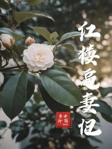 林黛玉和谁好