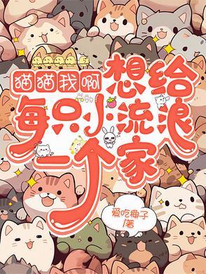 我想要只猫